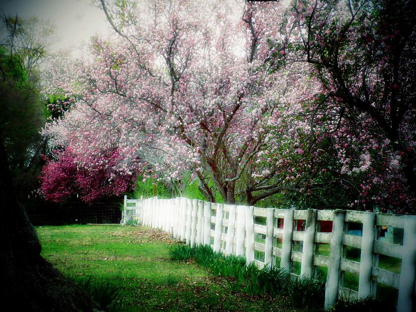 Stillwaters Farm - 1