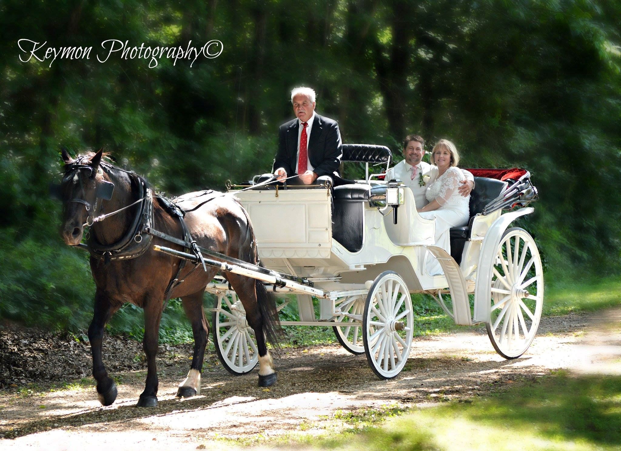 Lessenberry Wedding Chapel - 5