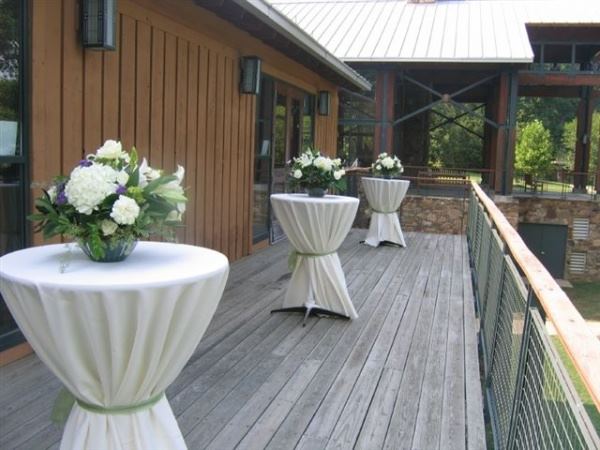 Memphis Pink Palace Family of Museums - 6