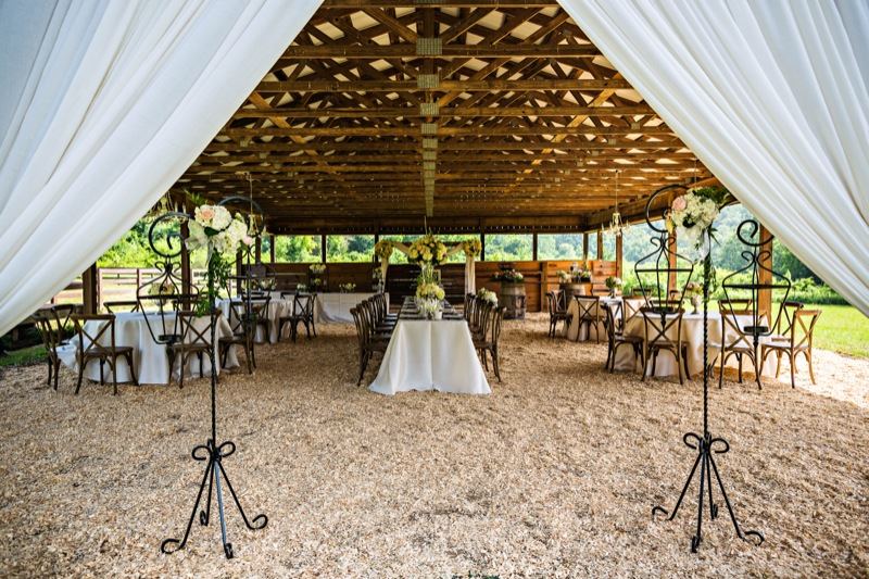 Springtree Farms - 3