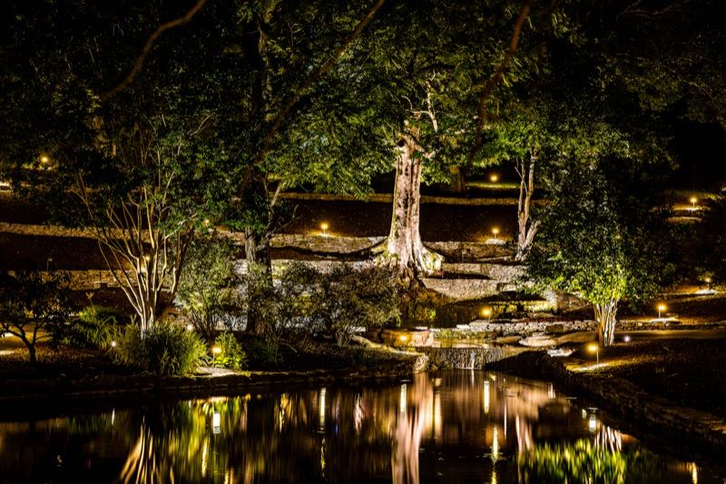 Springtree Farms - 5