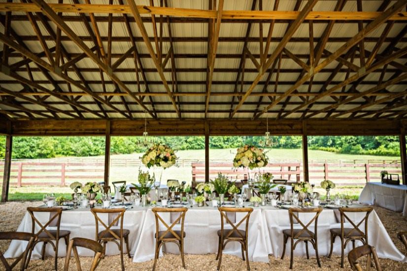 Springtree Farms - 4