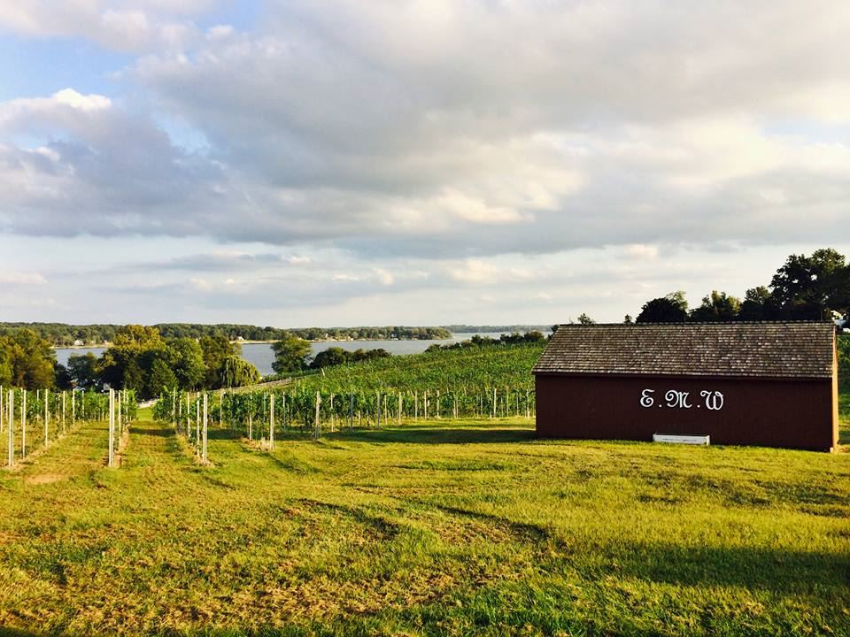 The Winery at Elk Manor - 5