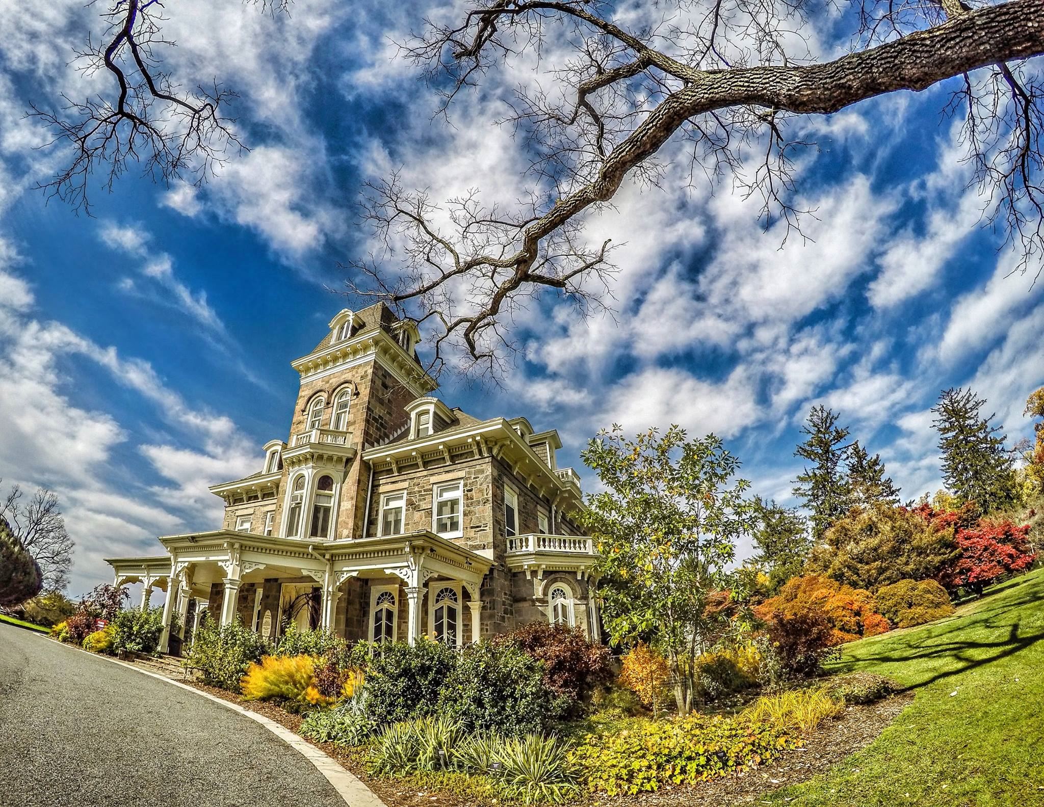 The Cylburn Arboretum - 4