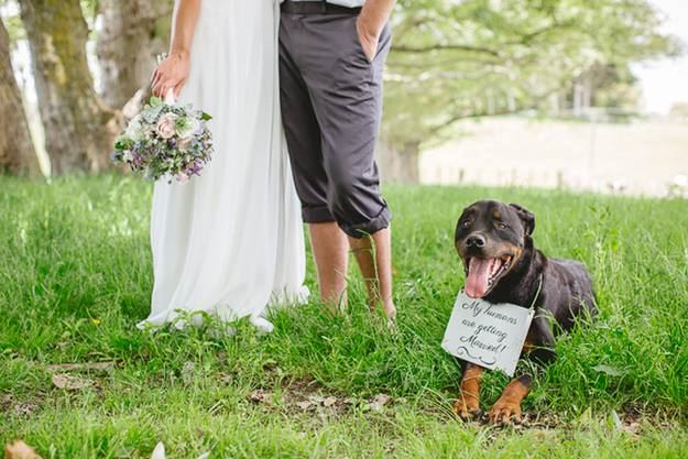 Harbour Inn Marina and  Spa - 3