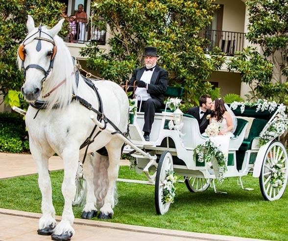 Harbour Inn Marina and  Spa - 1