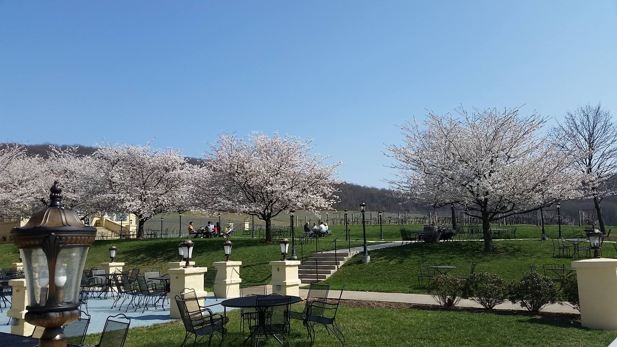 Breaux Vineyards - 7