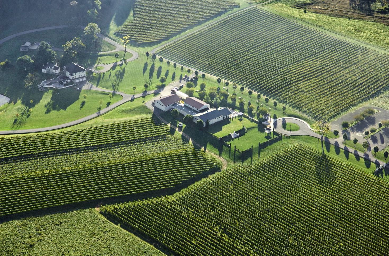 Breaux Vineyards - 6