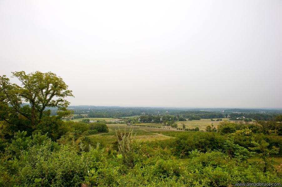 The Stable At Bluemont - 7