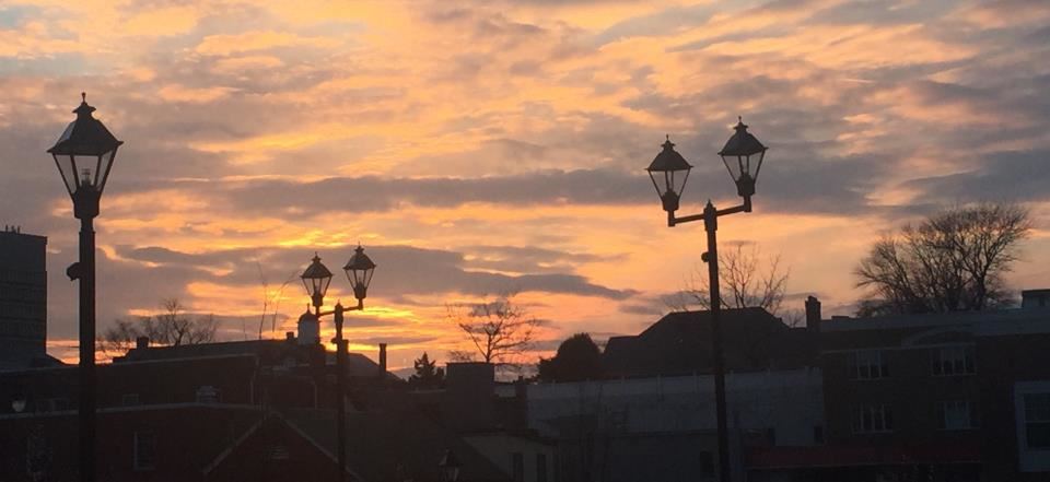 Historic Blenheim - 6