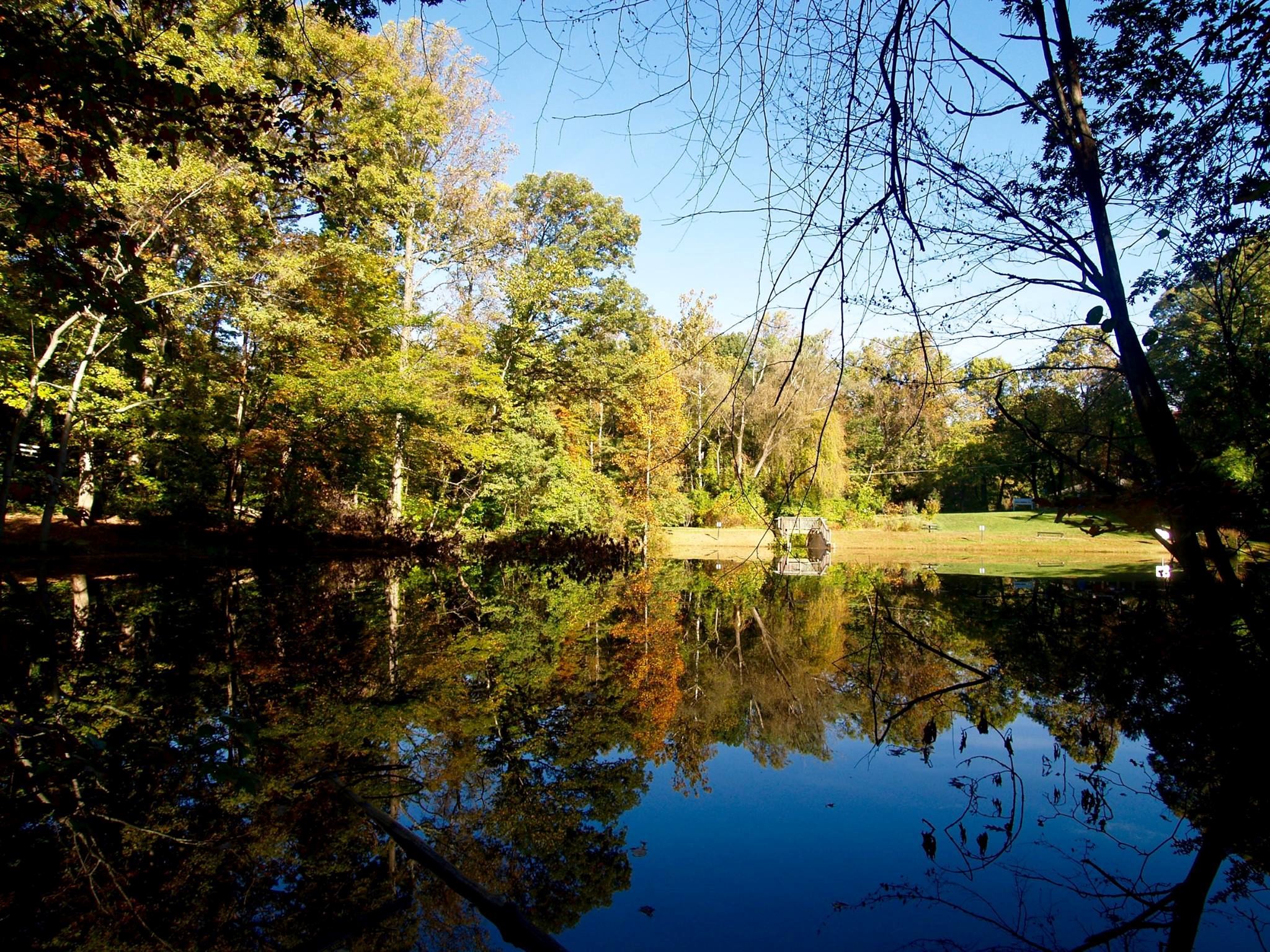 Historic Blenheim - 4