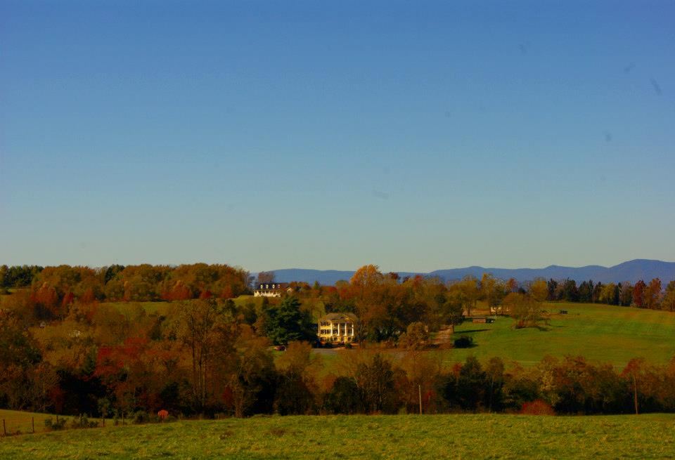 The Inn at Willow Grove - 7