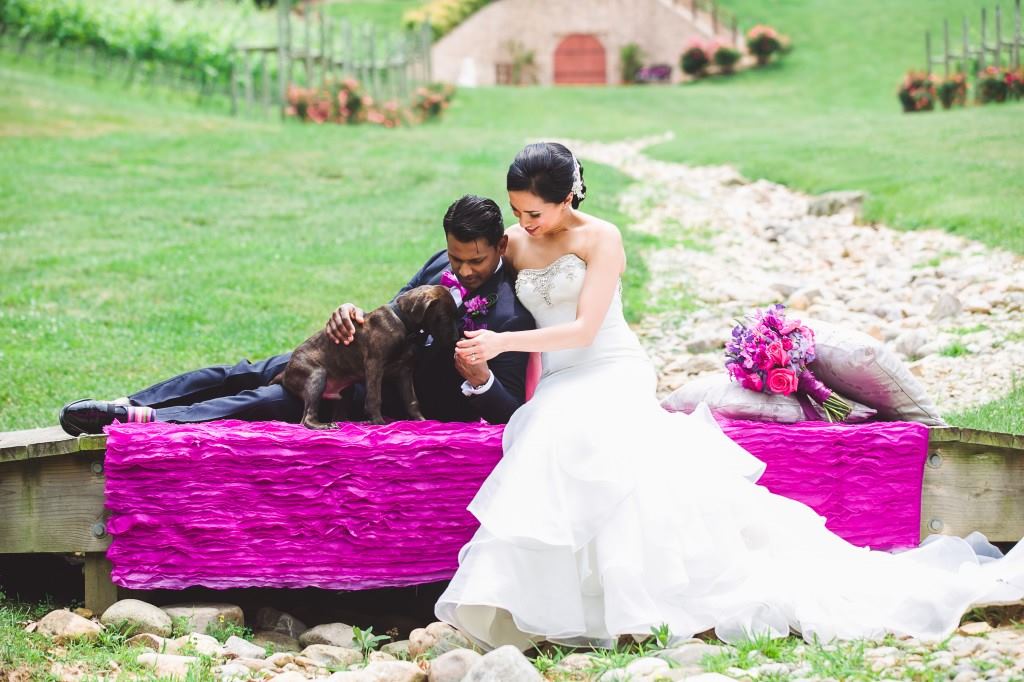 Potomac Point Winery - 3