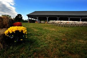 Frontier Culture Museum - 2