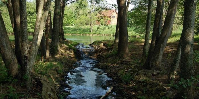 Frontier Culture Museum - 3