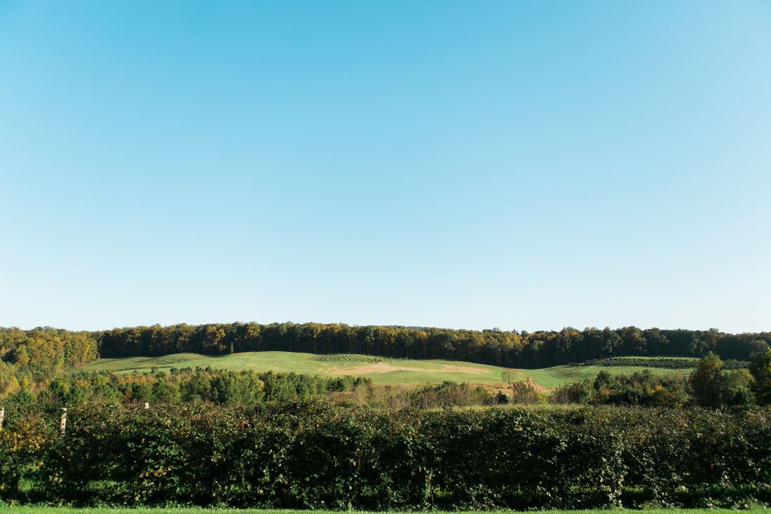 The Market Grelen - 7