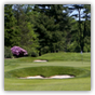 Meadowlands Country Club - 4