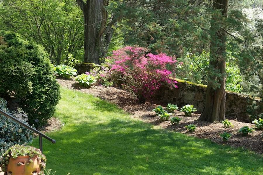 Welkinweir Estate - 5