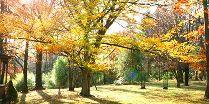 Springwood Manor - 2