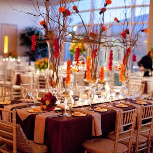 Phipps Conservatory and Botanical Gardens - 7