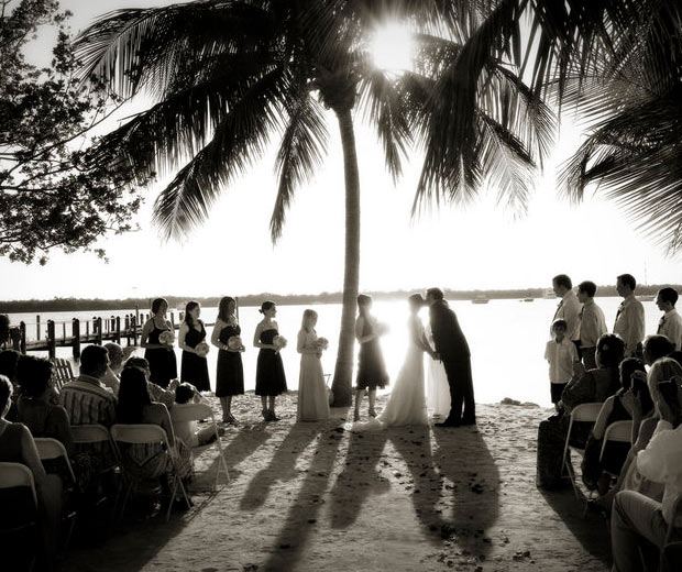 Coconut Palm Inn - 1