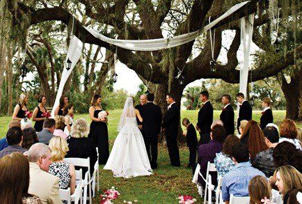 The Ribault Club - 6