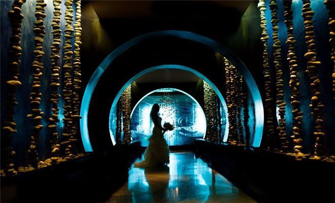 One Ocean Resort and Spa - 3