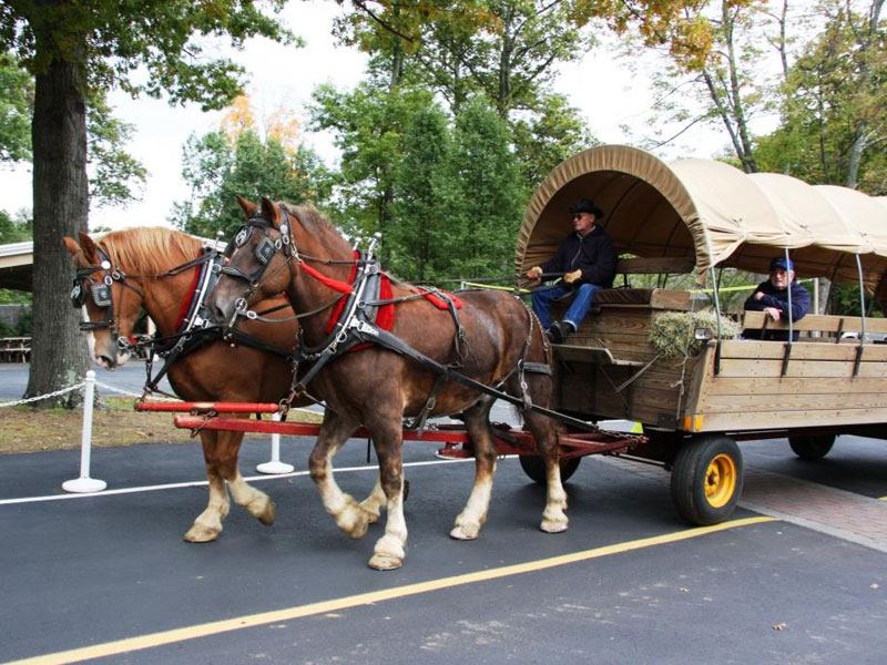 The Sherwood at Forest Lake - 5