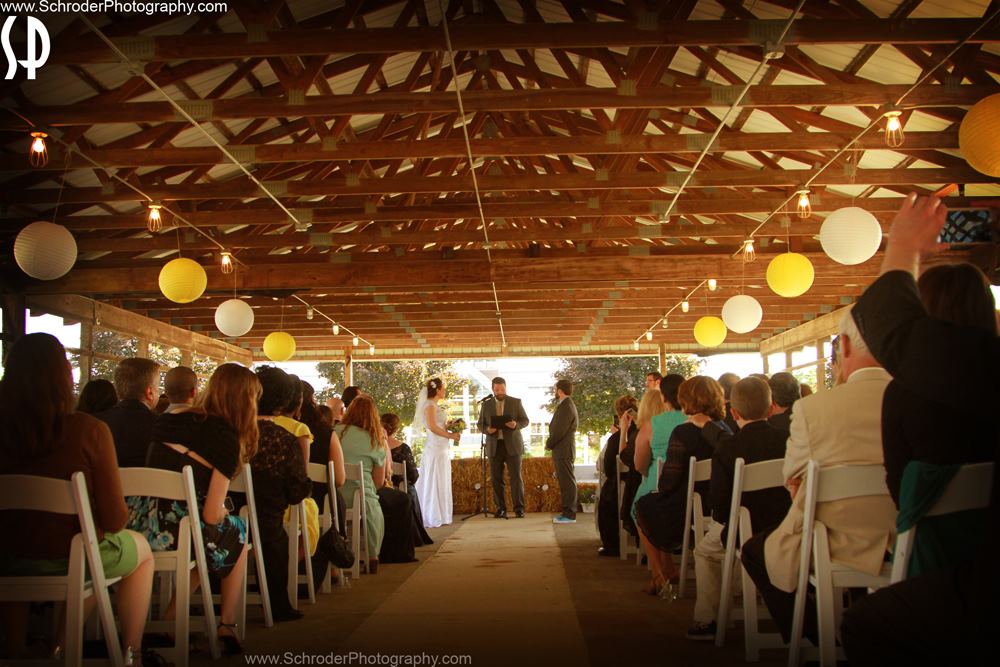 The Conservatory at the Sussex County Fairground - 7