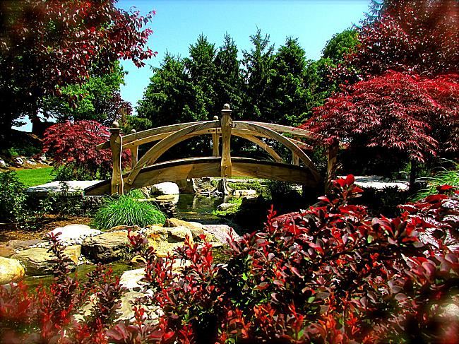 Park Avenue Club - 6