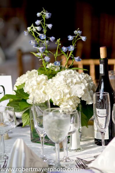 Southern Mansion - 7