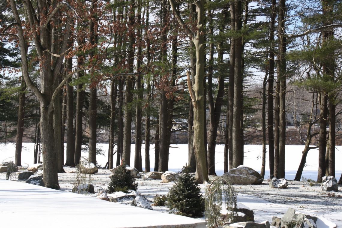 The Estate at Farrington Lake - 6