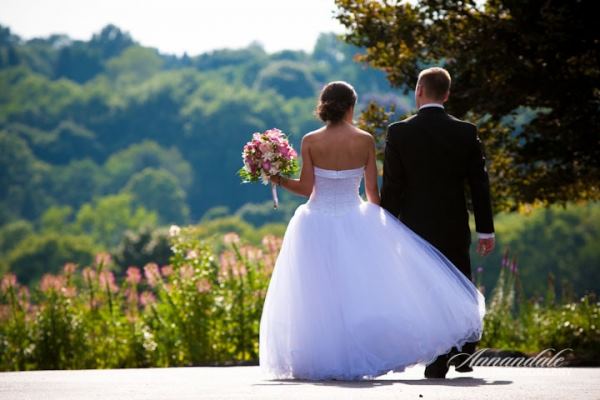 Mill on the River - 1