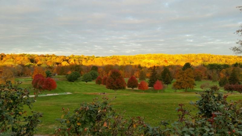 Mill on the River - 2