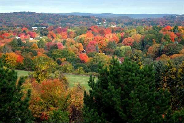 Tarrywile Park And Mansion - 4