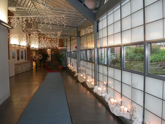 The Maritime Aquarium - 4