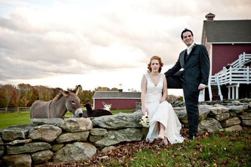 The Golden Lamb Buttery - 1