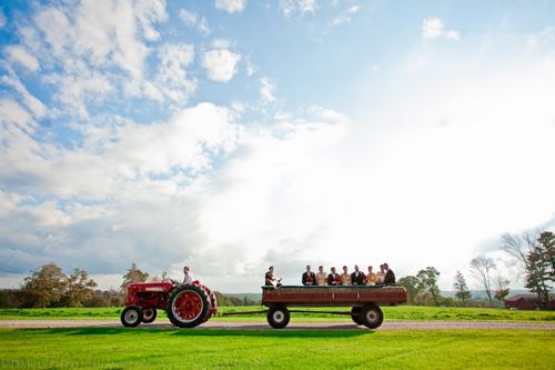 The Golden Lamb Buttery - 5