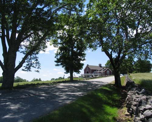 The Golden Lamb Buttery - 3