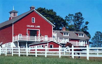 The Golden Lamb Buttery - 2