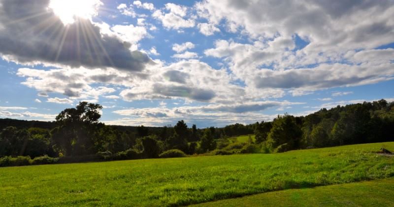 The Inn At Mount Pleasant - 2