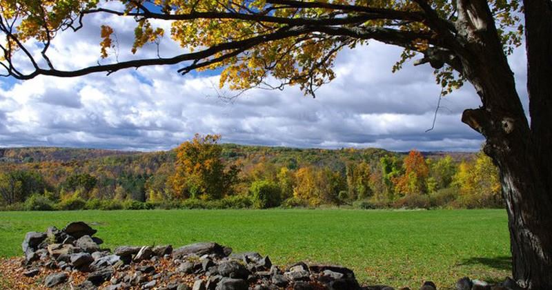 The Inn At Mount Pleasant - 3