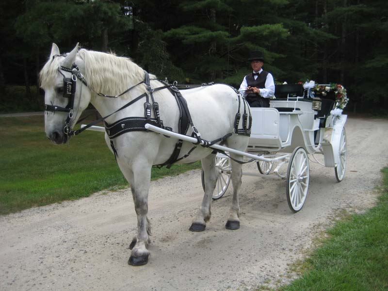 Wright's Mill Farm - 3