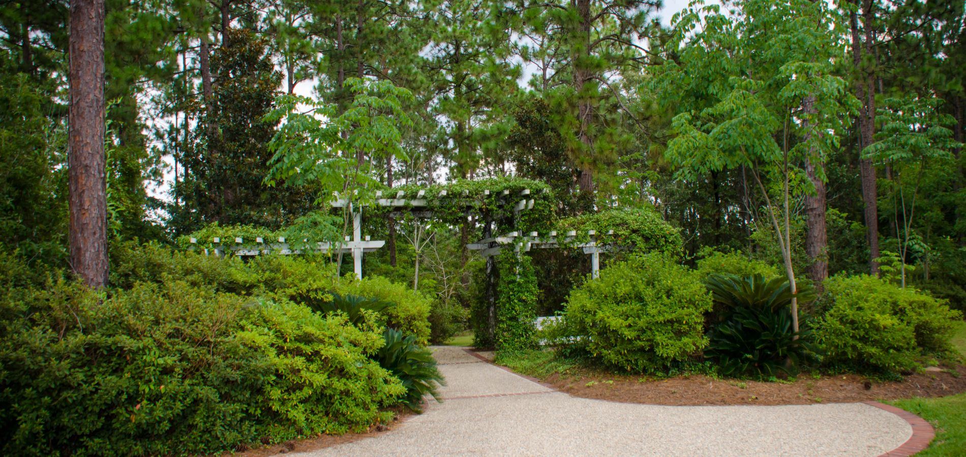 The Camellia House - 3