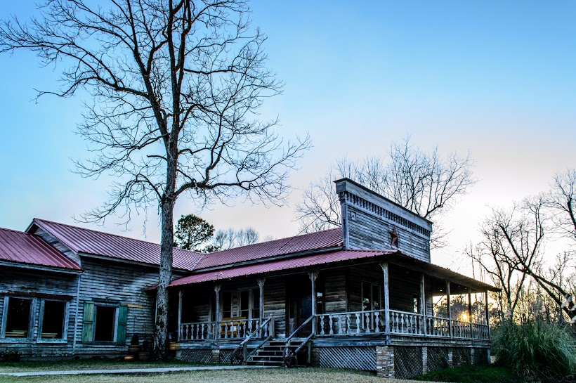 The rustic cypress - 1