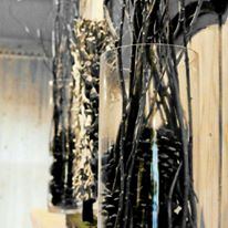 The rustic cypress - 3