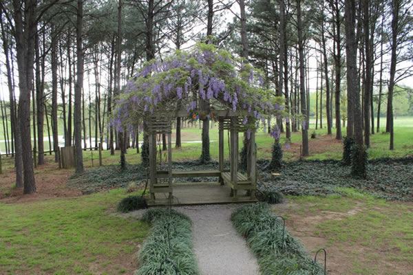 Chapel in the pines - 4