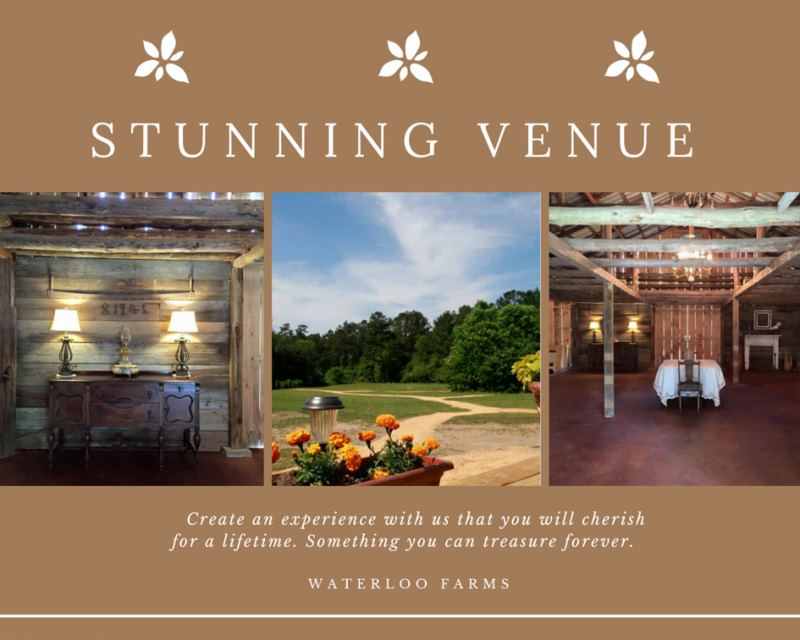 The White Rose At Waterloo Farms - 2