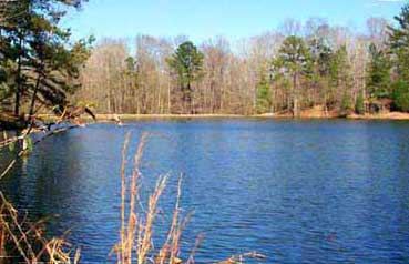 Wilsonwood Lodge - 2