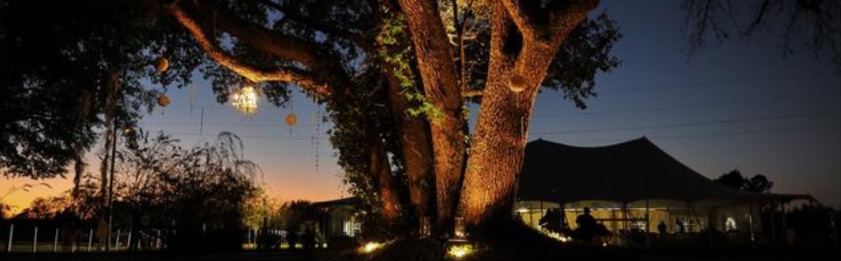 Squires Farm Weddings and Events - 1